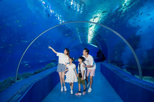 【元旦可订】限量免费升房丨海南海洋欢乐世界凯悦酒店+2大2小早餐丨可选无限次畅玩欢乐世界2日票+南海列车