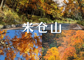 【距光雾山景区出入口800米】光雾山米仓道酒店住1晚+米仓山/光雾山门票2张+2人早餐+酒店免费停车