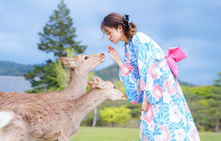 大阪清水寺+奈良公园+岚山/小火车+贵船+三千院+宇治+伏见稻荷大社一日游【9人小团·深入关西】