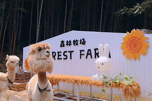 【温泉季周末不加价】住景区内茅山森林世界度假村1晚+双早+双人茅山森林世界2日无限次门票+双人茅山道温泉门票