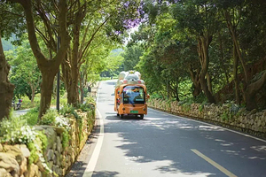 【私家小团】从化天人山水大地艺术园（宫崎骏童话世界）+醉美溪头村一天游，广州出发上门接送、不拼客可定制包团