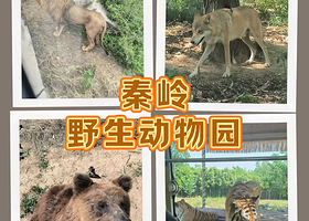 【住宿+门票】西安高科度假大酒店住1晚+双人秦岭野生动物园门票+双人早餐+酒店免费停车