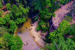 野象谷+曼掌村一日游【2-6人小团丨亲子体验制傣陶+刻贝叶经+造纸丨寻野象踪迹】