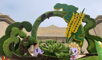 开封开封博物馆2小时人工讲解+耳麦一日游