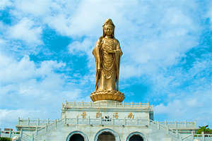 普陀山风景区+洛迦山四日游【24小时宁波接送站丨含门票+导游+讲解+3早3正+船票+上行索道+景区小交通】