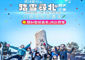 踏雪寻北丨漠河全景+北极岛4日纯玩【私家专享，一单一团不拼人！九曲十八弯+北极村+北红村+圣诞村丨免费接送站】
