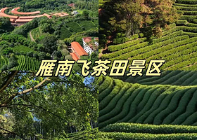 【酒店套餐】梅州雁南飞围龙大酒店住1晚+2人早餐+2人雁南飞门票+2人桥溪古韵门票+免费游泳池+免费健身房