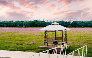 【酒店套餐】比比企鹅亲子酒店+50元早茶代金券+3人巴贝高世界亲子乐园两天无限次门票+玩田野边彩虹泳池