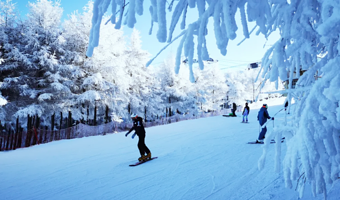 【单人住滑★滑进滑出】张家口崇礼万龙度假天堂盛龙公寓（万龙滑雪场店）+万龙滑雪场1日票