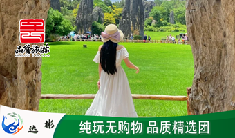 石林风景区门票+市区往返景区接送+午餐+导游讲解