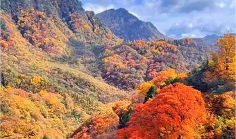 毕棚沟+四姑娘山景区+理小路二日游【三环路内接】