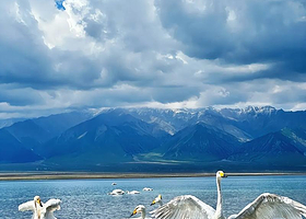 霍尔果斯国门景区+赛里木湖+果子沟大桥+库尔德宁景区+天鹅泉湿地公园五日游【单动单卧】