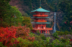 日光东照宫+日光江户村+中禅寺湖+那智瀑布+熊野那智大社+青岸渡寺二日游【中文七座包车#】