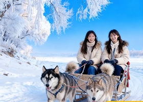 长春雾凇岛一日游【长春出发上门接/大笙说/赏雾凇雪景/品乌拉火锅】