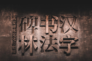 【多套餐可选】西安碑林博物馆【2.5H专业讲师人工拼团讲解+赠讲解无线蓝牙耳机】