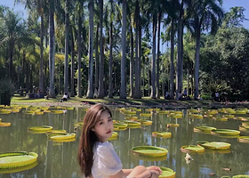 中国科学院西双版纳热带植物园人工讲解预约丨大咖讲解丨严选导师丨2.5小时