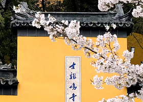 鸡鸣寺门票+平安符+三支清香+1小时大咖深度讲解