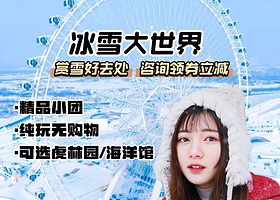 哈尔滨冰雪大世界+东北虎林园一日游【纯玩无购物 |多种线路可选&私家小团·不拼团|市区接送】