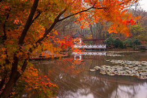 【周末不加价~赏秋套餐】南京仙林大学城生创园亚朵酒店1晚含早+双人栖霞山/南京欢乐谷/红山森林动物园（3选1）