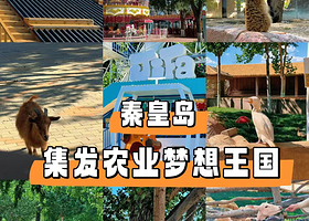 【距离500米】云予川假日酒店（集发梦想王国店）住1晚+2人/2大1小北戴河集发梦想王国门票+酒店免费停车