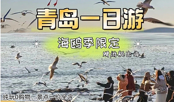 青岛啤酒博物馆+海军博物馆+五四广场+八大关+栈桥+琴屿路+小港游船+圣弥厄尔教堂+信号山公园一日游