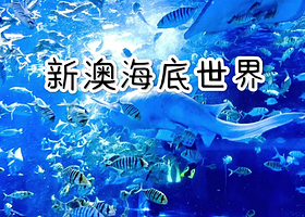 【步行400米】梵泊酒店（秦皇岛海底世界动物园鸽子窝大学城店）住1晚+2人新澳海底世界门票+酒店免费停车