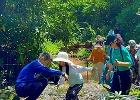 基诺山雨林徒步一日游【6人精品小团·亚诺雨林·高端限流不排队·土著领队·体验项目一价全含】