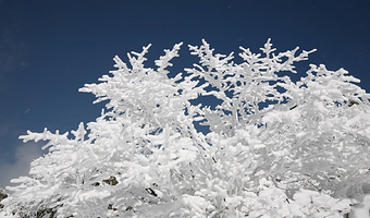 【酒店套餐】神农架星程酒店+神农架国际滑雪票