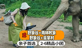 野象谷+曼掌村一日游【2-6人小团+与大象亲密接触+亲子互动+可选曼掌村+可选雨林牧象】
