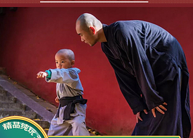 少林寺+嵩山少林风景区-少林寺武术馆+龙门石窟一日游【2-8人精讲小团/赏武术表演市区接送】