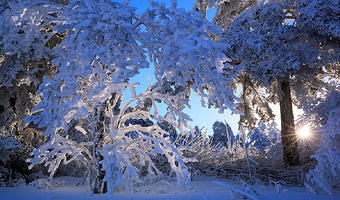 神农顶风景区+神农坛风景区+官门山+神农架国际滑雪场三日游【20人团·雪道划出心跳曲线，雾凇绽放静美年轮】