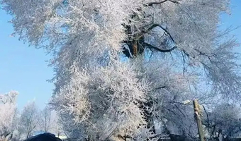 中国雪乡四日游【2-12人团/接送站服务】