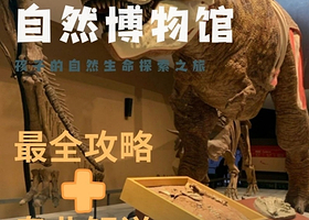 博物馆讲解·上海半日【上海自然博物馆】互动式讲解+探索起源之谜,漫步生命长河+不含餐+自行前往博物馆集合