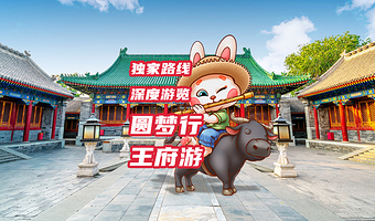 北京恭王府深度主题游可选【含门票】金牌导游2.5小时讲解 带您体验不一样的恭王府之旅