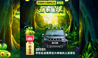 勐远仙境+望天树景区+野象谷+西双版纳傣族园+星光夜市五日游【真纯玩0自费|10人团|阿凡达实景徒步|喜来登】