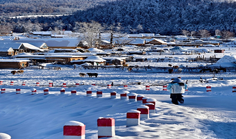阿勒泰喀纳斯湖+阿勒泰白哈巴国家森林公园+阿勒泰禾木风景区五日游【大喀集禾mini5日游】