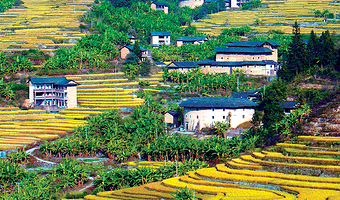 【土楼私家团】龙岩永定高北土楼王+初溪土楼群一日游|含门票+上门接送+晚出发+一单一团