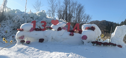 秦岭冰雪乐园一日游【含景交车往返+秦岭冰雪乐园套票  西安出发】