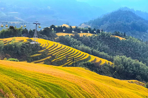 桂林龙脊梯田+漓江四星游船+遇龙河竹筏漂游+银子岩四日游【走进20元人民币背景+纯玩无购物+龙脊游大漓江】
