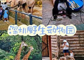 【双人深圳野生动物园下午场门票】深圳南山科技园希尔顿惠庭酒店住1晚+双人深圳野生动物园下午场门票+双人自助早餐