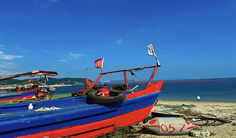 小团·大连3日游：大连老虎滩海洋公园+大连森林动物园+金石滩度假区三日游【亲子家庭游|行程不累】