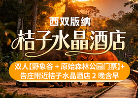 【酒店套餐】3天2晚版纳告庄附近桔子水晶酒店+双人野象谷+原始森林公园双园门票+酒店早餐