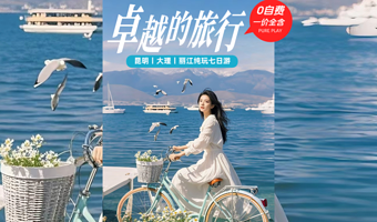 洱海旅拍+洱海游船+金梭岛+石林风景区+蓝月谷六日游【纯玩0购0自费|4钻温泉|古村落|雪山大索|印象丽江】