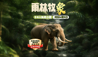 西双版纳傣族园+野象谷+曼听御花园+西双版纳总佛寺五日游【真纯玩6人团|雨林徒步|住喜来登|植物园|大佛寺】