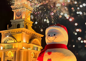 哈尔滨冰雪大世界一日游【东北虎林园/圣索菲亚大教堂/极地海洋馆/私家团/可选小团/一价全含】