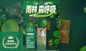 中国科学院西双版纳热带植物园+野象谷+西双版纳傣族园五日游【真纯玩|7人小团|雨林徒步+采摘|四钻+五钻】