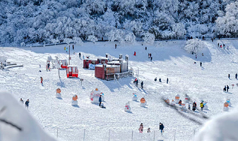 重庆金佛山一日游【滑雪玩雪纯玩1日游跟团游周边游】