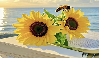 高端品质：大连6日私家团.大连发现王国+棒棰岛+老虎滩+旅顺口+金石滩六日游