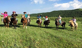 马牙雪山+乌鞘岭+桑科草原+拉卜楞寺+黄河石林+雷台汉墓+炳灵寺4日游【100%纯玩+市区免费接送+时间自由】