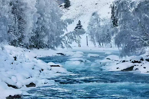 喀纳斯景区+禾木风景区+白哈巴景区三日游【上门接送+特色木屋住宿+专业司机】